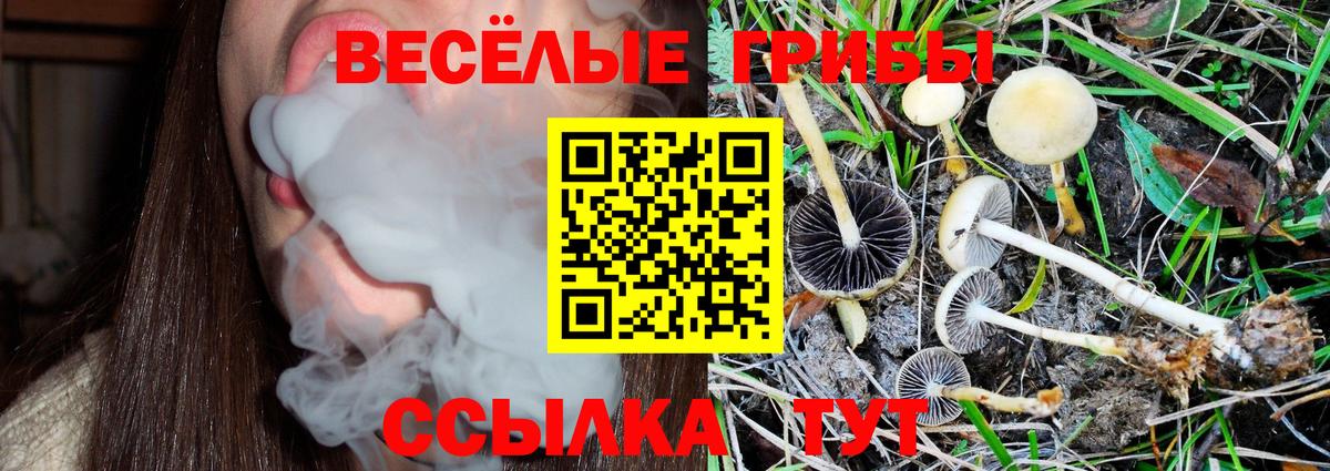 Галлюциногенные грибы прущие грибы Протвино