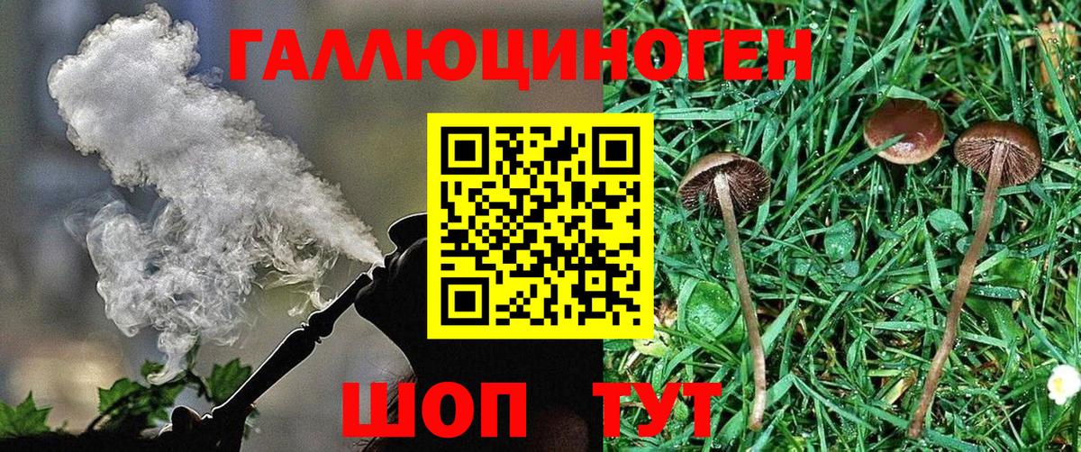Протвино  Галлюциногенные грибы мухоморы  Вход с VPN  цены   Псилоцибиновые грибы прущие грибы 